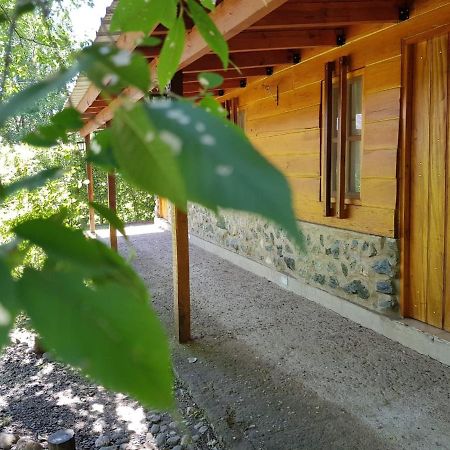 Hotel Cabanas Brisas Del Bosque Villa Ciudad Parque Exterior foto